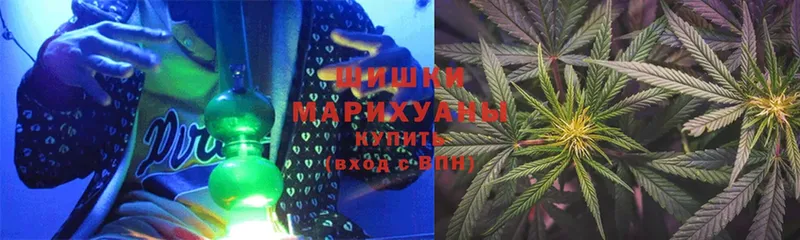 Канабис THC 21%  блэк спрут маркетплейс  Каргополь 